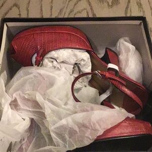 Women’s Shoes. Size 8